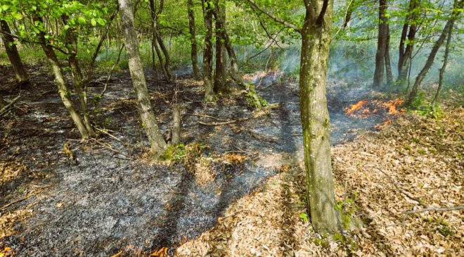 Erhöhte GEFAHR für WALD – und FLÄCHENBRÄNDE in und um Landshut