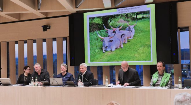 Erfolgreicher KURS trotz stürmischer SEE   