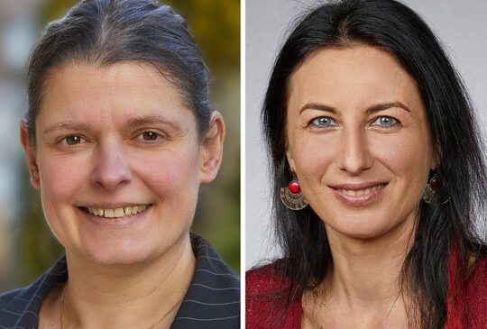 „Unsere LEBENSMITTEL-PRODUKTION muss unabhängiger werden!“