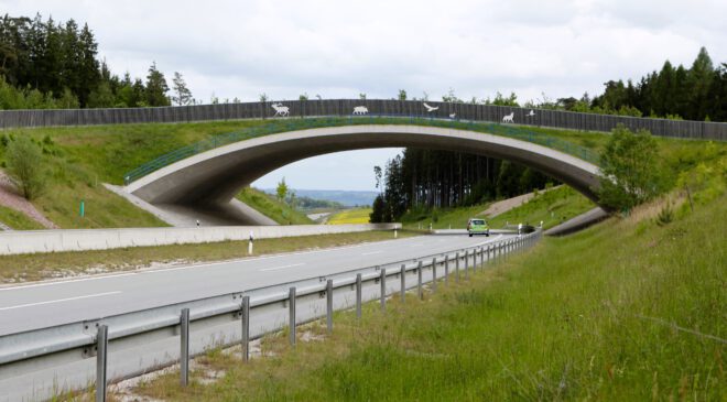 NATUR verbunden: Die GRÜNBRÜCKE über die B15 bei ERGOLDSBACH