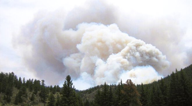 WALDBRANDGEFAHR: REGIERUNG ordnet bis FREITAG weitere LUFTBEOBACHTUNG in Niederbayern an
