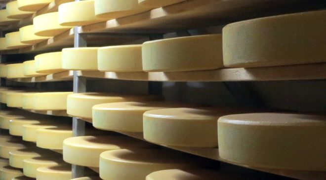 Streiks in Molkereien und K Ä S E R E I E N: Bayern droht jetzt der „MILCH-BLACKOUT“