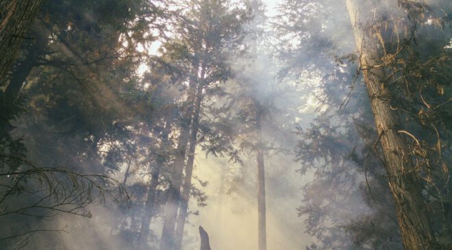 WALDBRANDGEFAHR: Regierung ordnet weitere L U F T B E O B A C H T U N G in Niederbayern an
